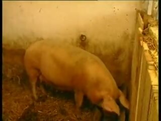 Ове lebe das landleben - baeuerin им schweinestall gefickt